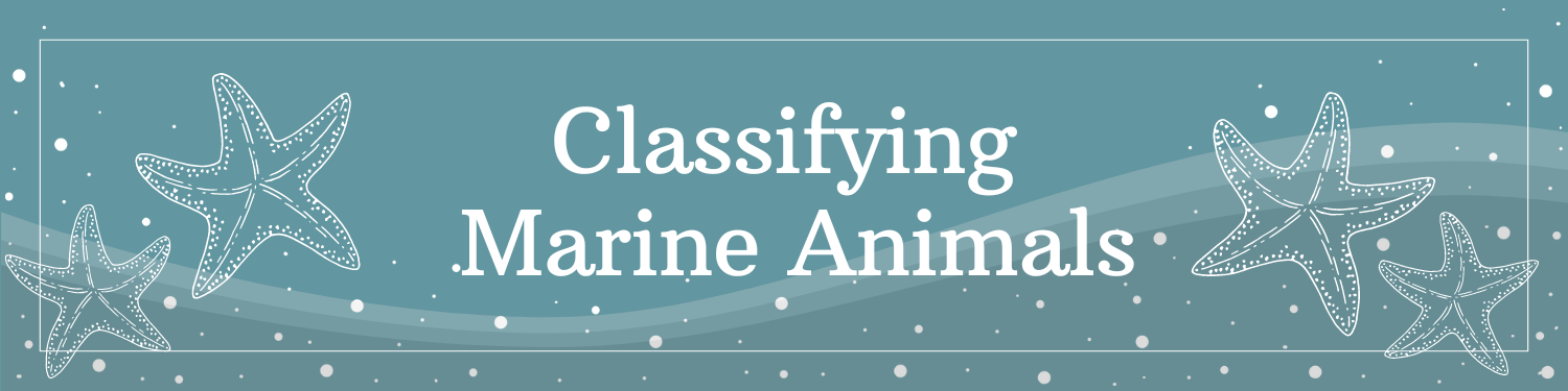 Unit 14: Classifying Marine Animals Banner
